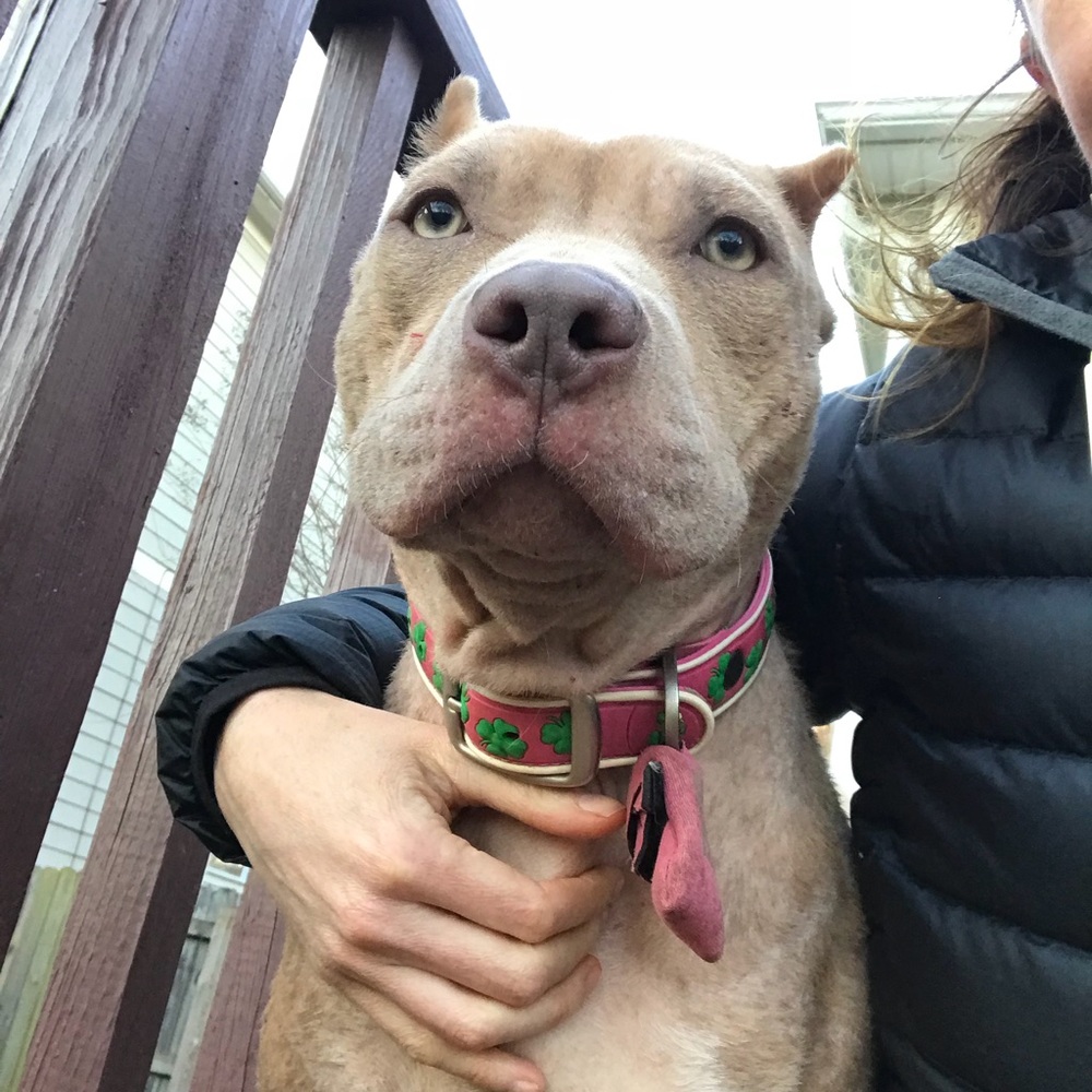 Meet your Posher, Erica